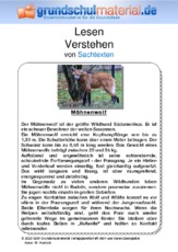 Mähnenwolf - Sachtext.pdf